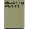 Discovering Wavelets by Steven Schlicker