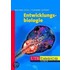 Entwicklungsbiologie