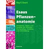 Esau's Plant Anatomy by University Ray F. Evert