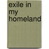 Exile In My Homeland
