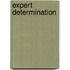 Expert Determination