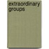 Extraordinary Groups