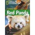Farley The Red Panda