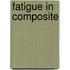 Fatigue in Composite