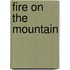 Fire On The Mountain