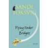 Flying Under Bridges door Sandi Toksvig