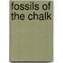 Fossils Of The Chalk