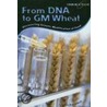 From Dna To Gm Wheat door John Earndon