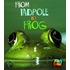 From Tadpole To Frog