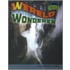 Wereldwonderen