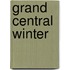 Grand Central Winter