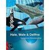 Haie, Wale & Delfine by Unknown