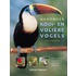 Handboek voor kooi- en volierevogels
