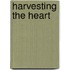 Harvesting The Heart