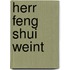 Herr Feng Shui weint