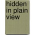 Hidden in Plain View