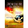 How Did We All Begin door Calvin S. Kalman