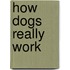 How Dogs Really Work