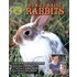 How to Raise Rabbits