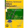 Höhere Mathematik 1 door Peter Vachenauer