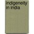 Indigeneity in India