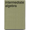 Intermediate Algebra door Stefan Baratto