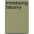 Introducing Falconry