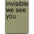 Invisible We See You