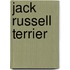 Jack Russell Terrier