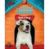 Jack Russell Terrier