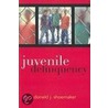 Juvenile Delinquency door Donald Shoemaker