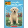 Labrador on the Lawn door Lucy Daniels