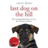 Last Dog On The Hill