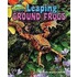Leaping Ground Frogs