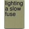 Lighting A Slow Fuse door Nicki Jackowska