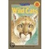 Looking at Wild Cats