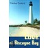 Love At Biscayne Bay