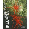 Contemporary Ikebana
