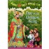 Magic Tree House #14