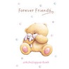 Forever Friends creche/oppasboek door Onbekend