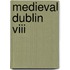 Medieval Dublin Viii