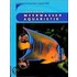 Meerwasseraquaristik