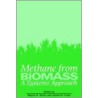 Methane From Biomass door Onbekend