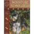 Miniature Schnauzers