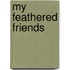 My Feathered Friends