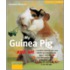 My Guinea Pig and Me