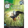 Mythical Maths 10-11 door Onbekend