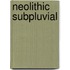 Neolithic Subpluvial