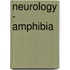 Neurology - Amphibia