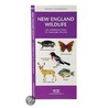 New England Wildlife door Leung